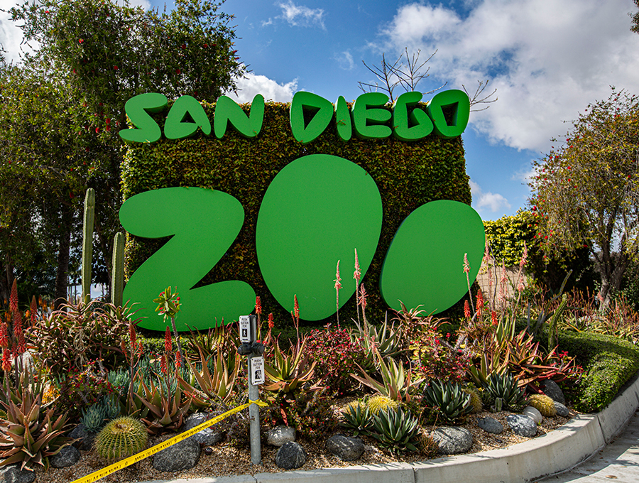 San Diego Zoo sign at entrance